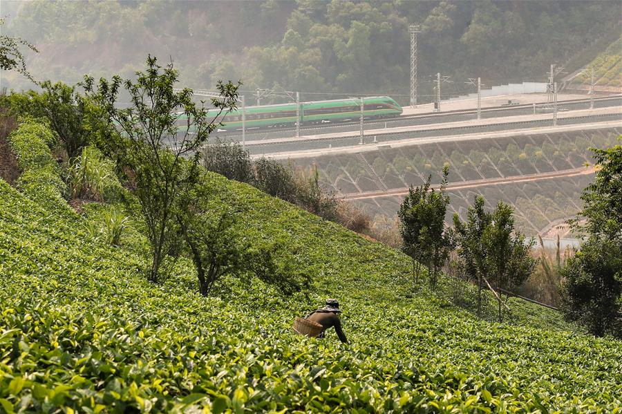 （百家乐平台全媒头条·图文互动）（3）一路飞架跨山河——写在中老铁路国际旅客列车开行首日