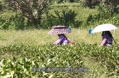 第七集：水利工程 生态扶贫