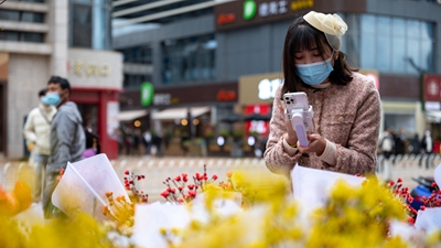 从斗南“花语”聆听奋进足音——“亚洲花都”传奇