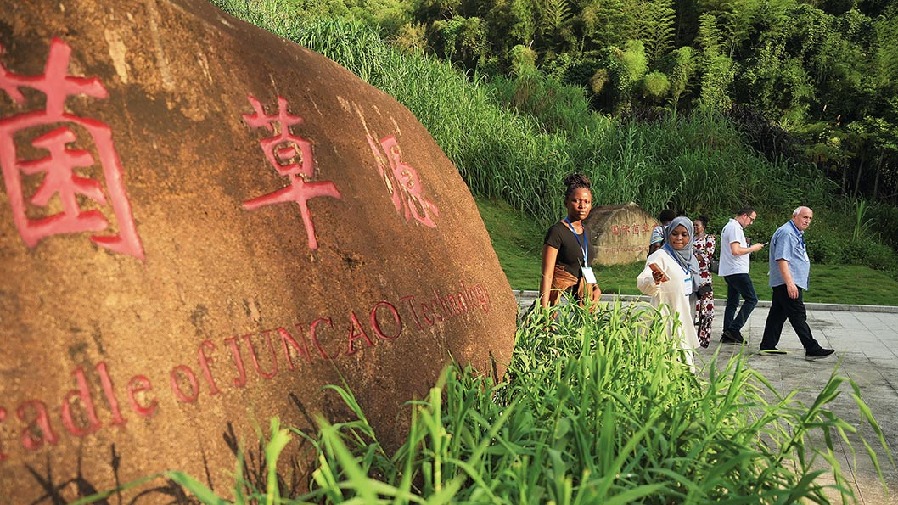 他，让肯尼亚爱上中国“神奇草”