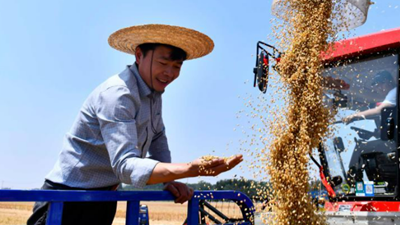 广开食源耘天下——探寻“大食物观”在基层的生动实践