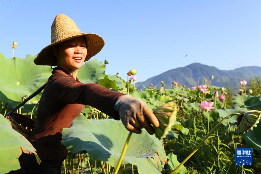 （江河奔腾看中国）（3）绿色闽江 清新福建