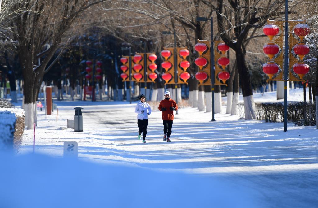 沈阳：瑞雪迎春