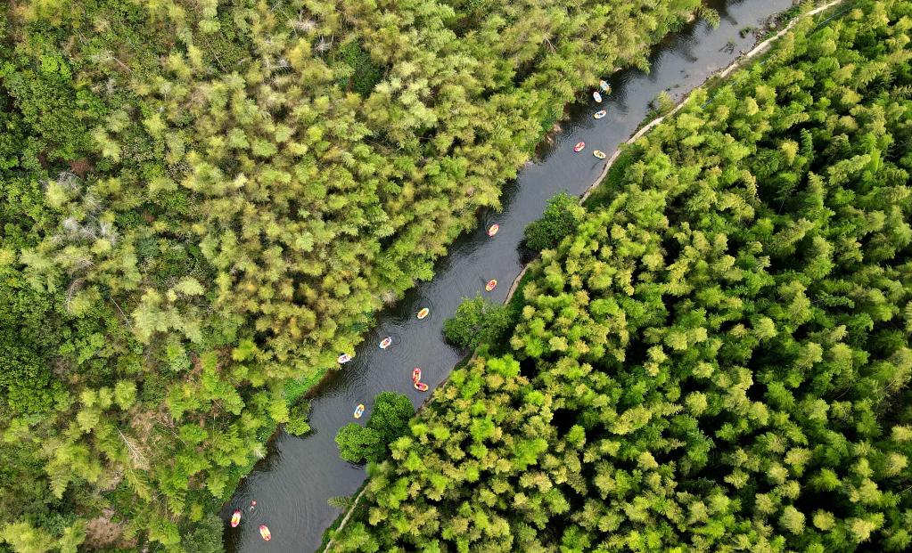 百家乐平台全媒+｜依靠绿水青山 发展乡村旅游