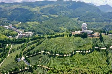 福建大湖乡：“多元种植”助推乡村振兴