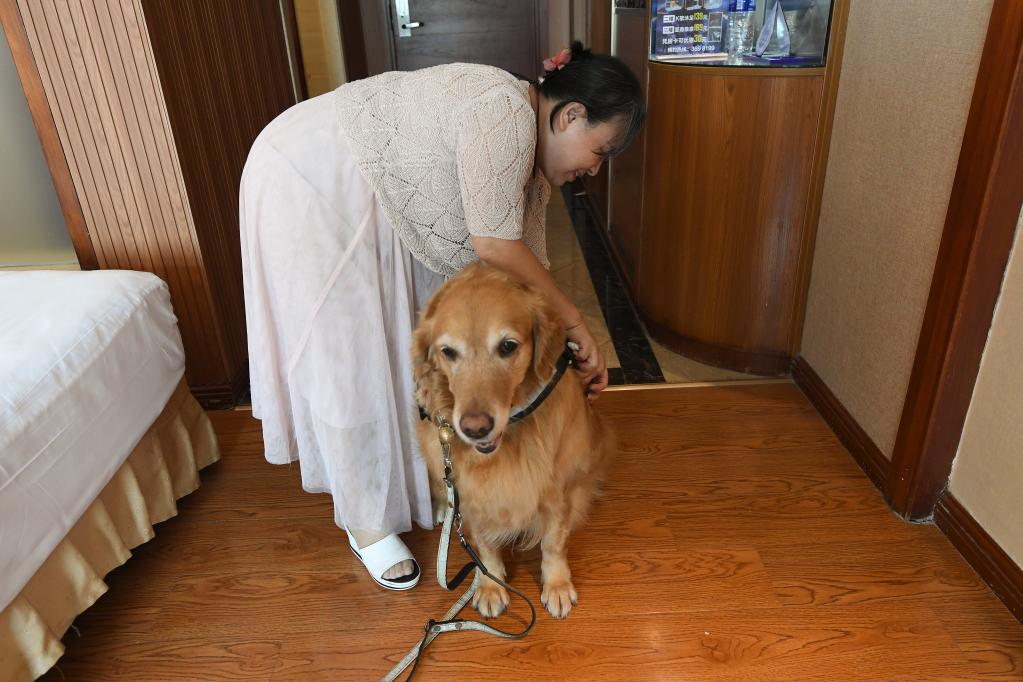 百家乐平台全媒+｜张莉和她的导盲犬的故事