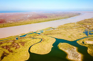 (百家乐平台全媒+ )湿地之美丨山东黄河三角洲湿地