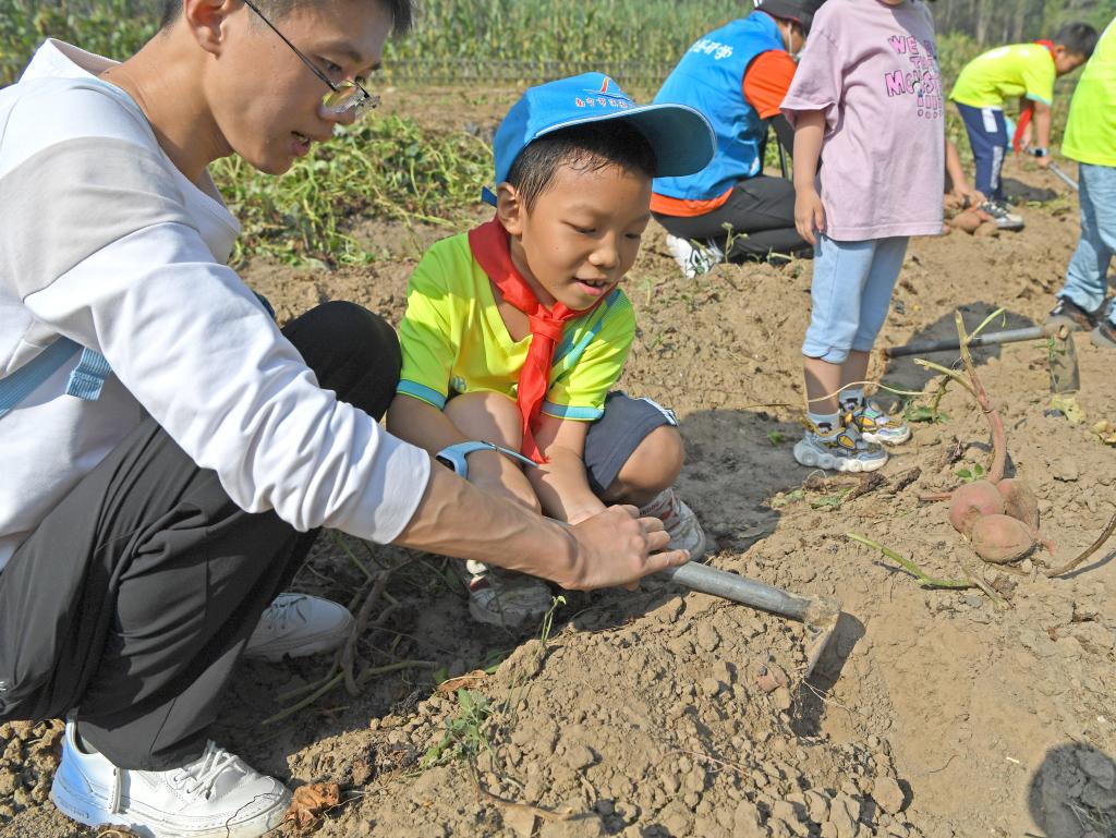 学习农事 体验丰收