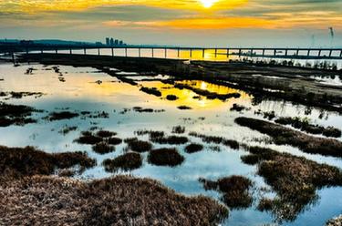 河南济源：黄河湿地冬景如画