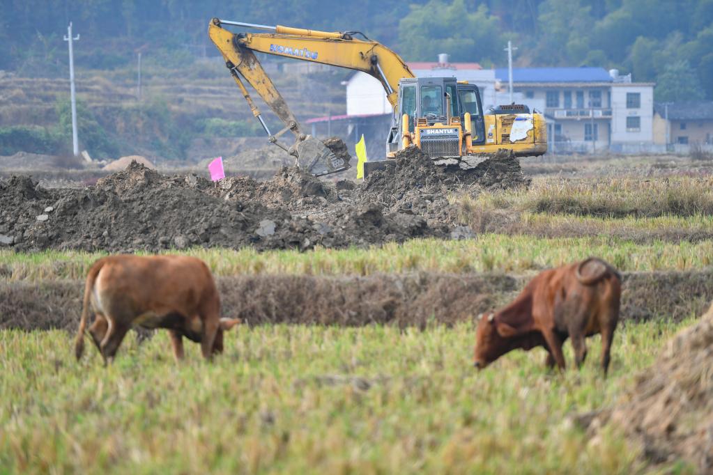 湖南湘潭：打造高标准农田