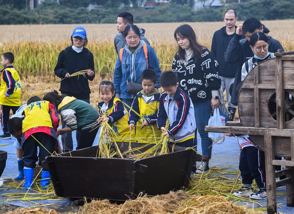 千亩稻田里开启丰收旅游季