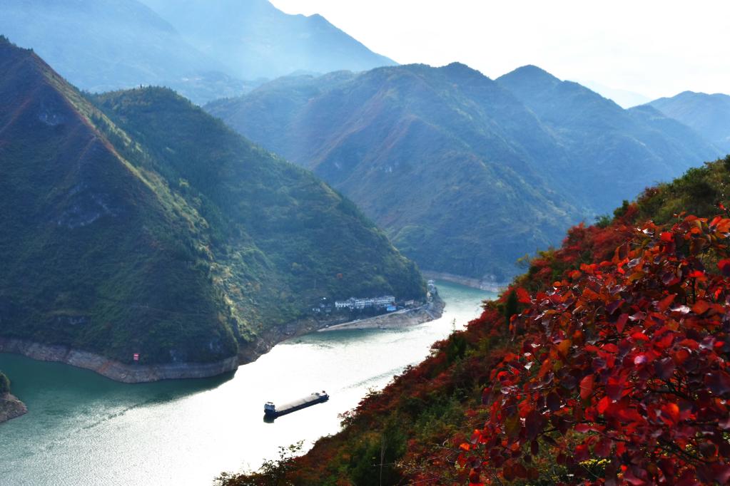 重庆巫山：红叶映峡江