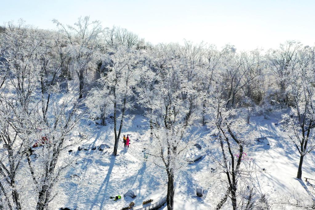 百家乐平台全媒+丨吉林：“冬闲”变“冬忙” “冰雪经济”拓宽致富路