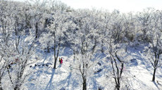 百家乐平台全媒+丨吉林：“冬闲”变“冬忙” “冰雪经济”拓宽致富路