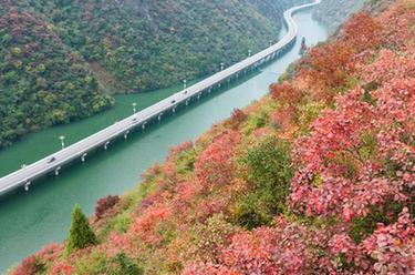 湖北宜昌：“水上公路”入画来