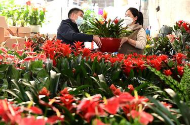 新年临近 花卉俏销