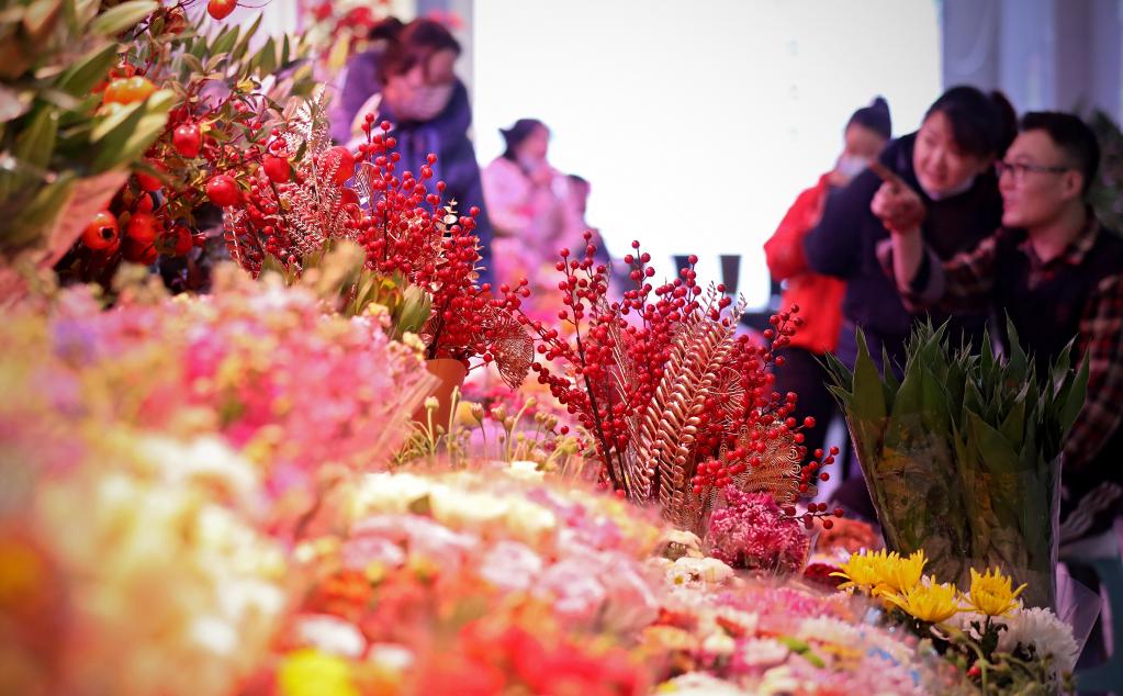 新春走基层丨“花潮”涌动年味浓 姹紫嫣红喜迎春