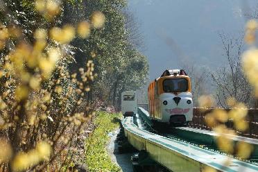 湖南张家界：节后旅游热度不减