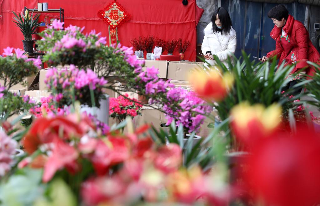 新春走基层｜七彩“富农”花 绽放喜迎春