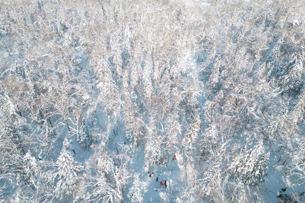 走进牡丹江“冰雪画廊”