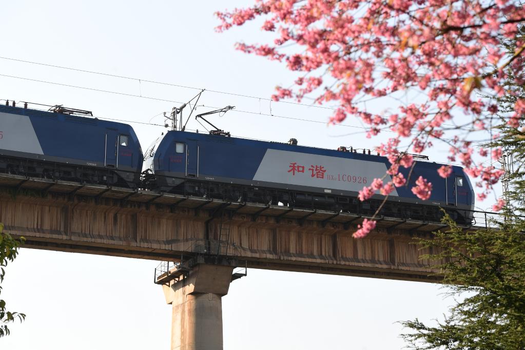 花香春意浓