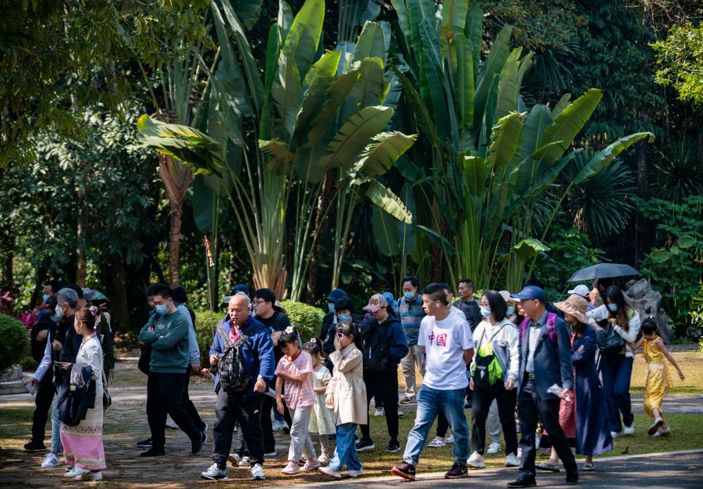 西双版纳旅游市场持续火热