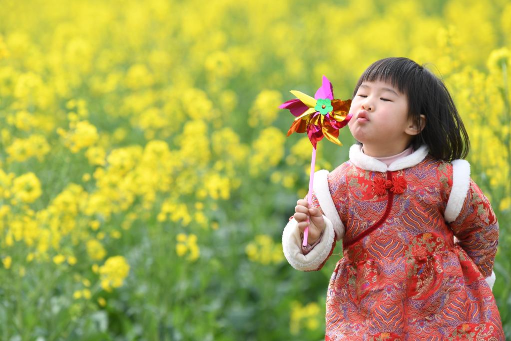 踏青赏花 乐享春光