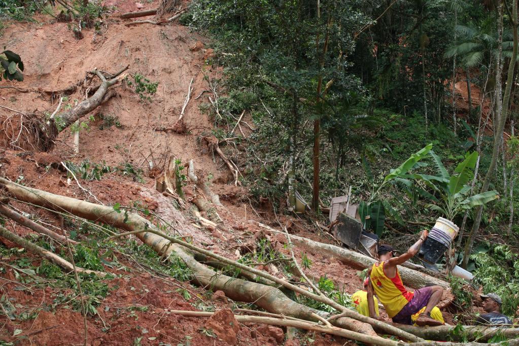 巴西圣保罗州严重暴雨灾害死亡人数升至48人