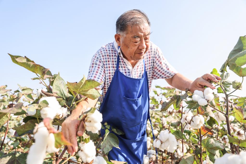 百家乐平台全媒+丨育种人的薪火相传