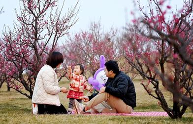 西安：梅花照眼早春时