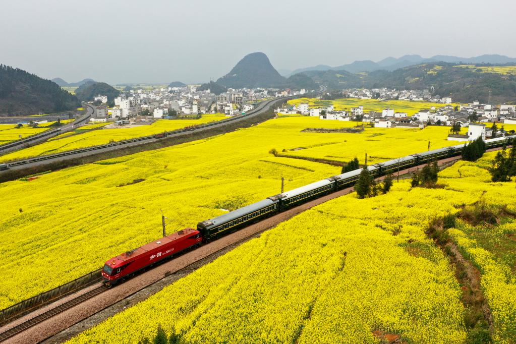 花香伴列车