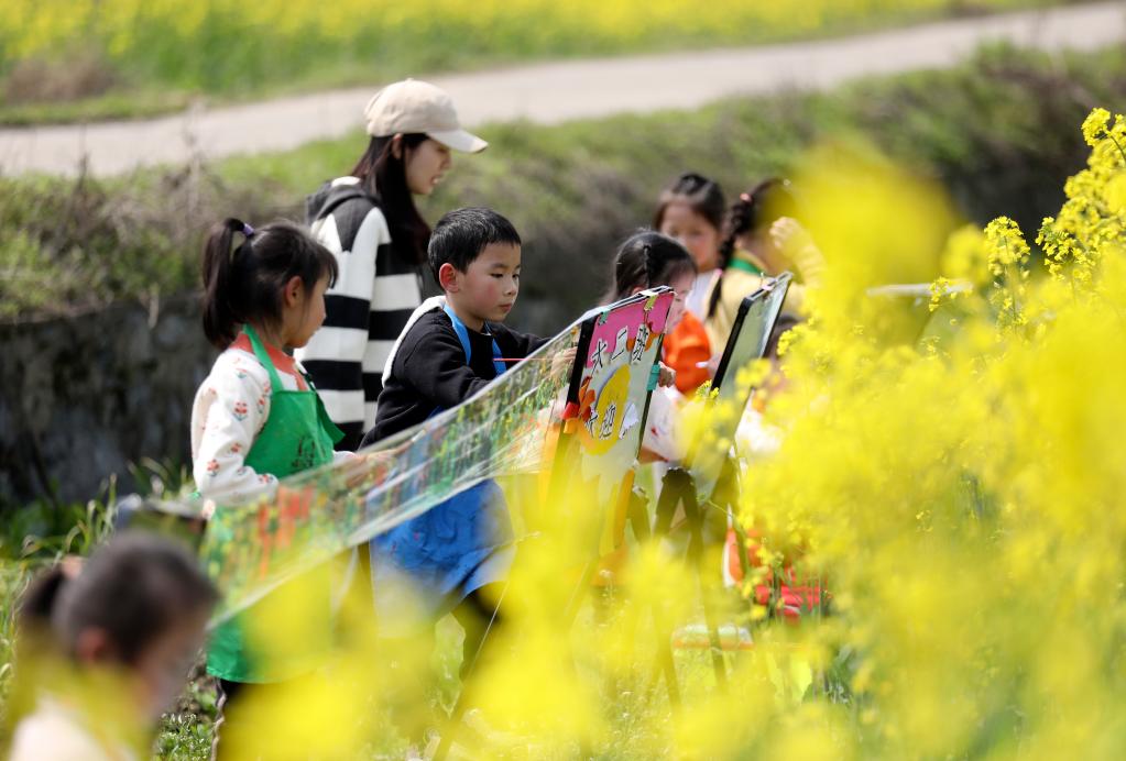 湖南资兴：油菜花田“画春天”