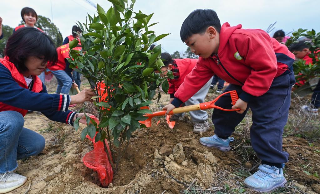 “植树护绿”开启春季校园劳动课