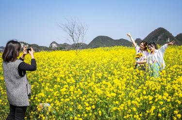 贵州六枝：油菜花开引客来