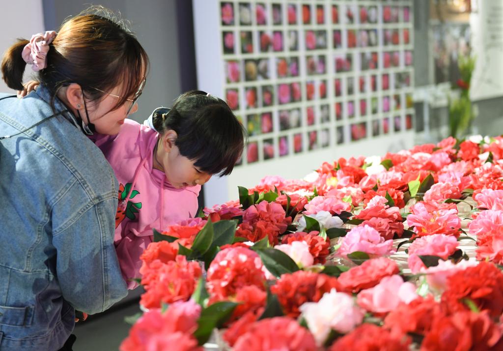 浙江金华茶花节开幕