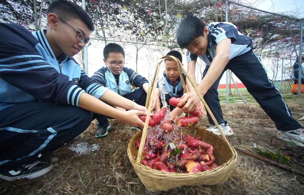 “田间课堂”学农事