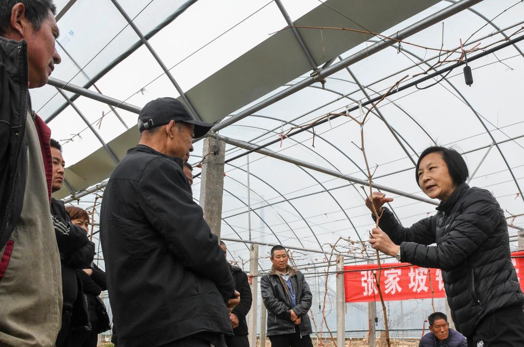 “田间课堂”助力春耕生产