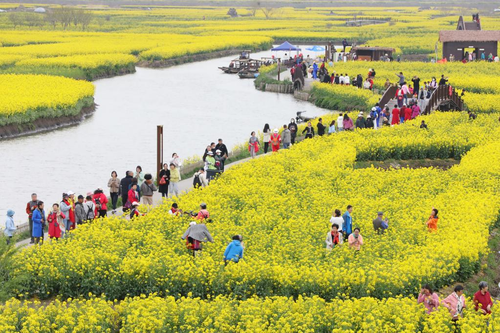 江苏兴化：“垛”上花开春意浓