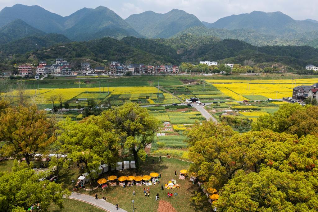 美丽乡村开启“春天的盛会”特色乡村文旅品牌