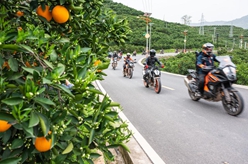 湖北秭归：特色旅游助力乡村振兴