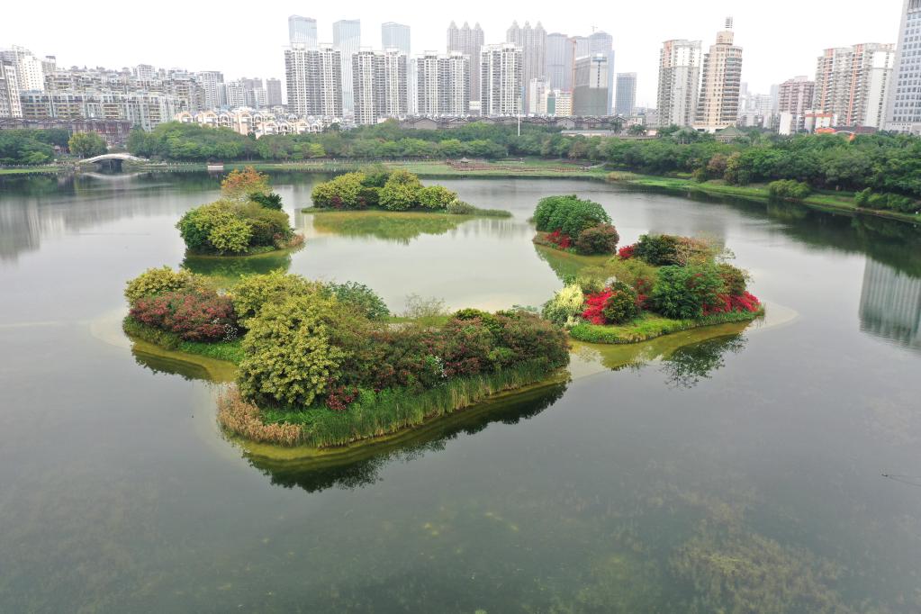 一湖春水映花红