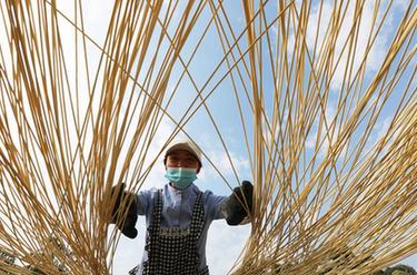 贵州赤水：竹产业助力乡村振兴