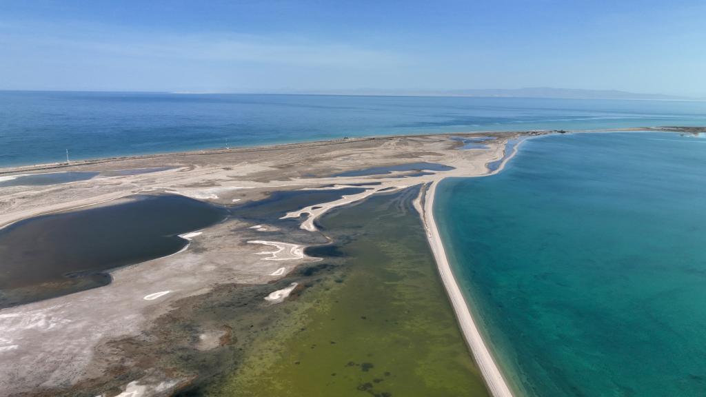 春临青海湖