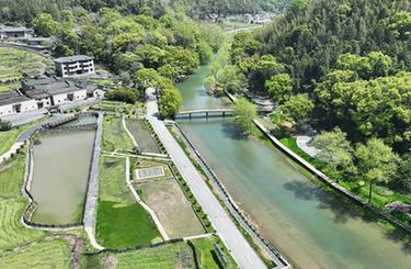 四季中国丨港背村的“新田园梦”