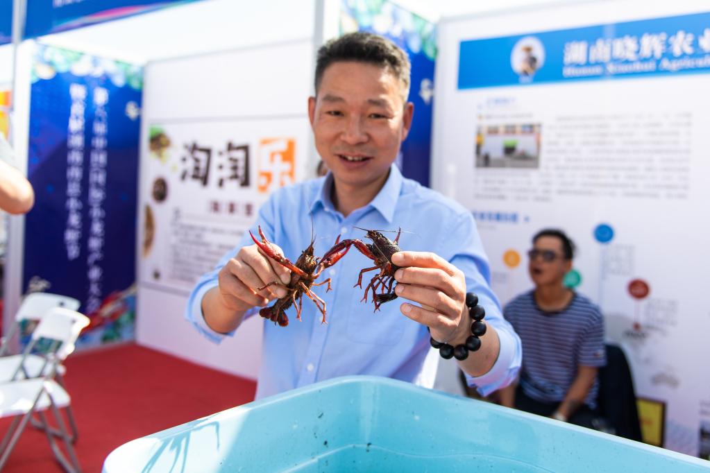 百家乐平台全媒+丨第六届中国（国际）小龙虾产业大会在湖南南县开幕