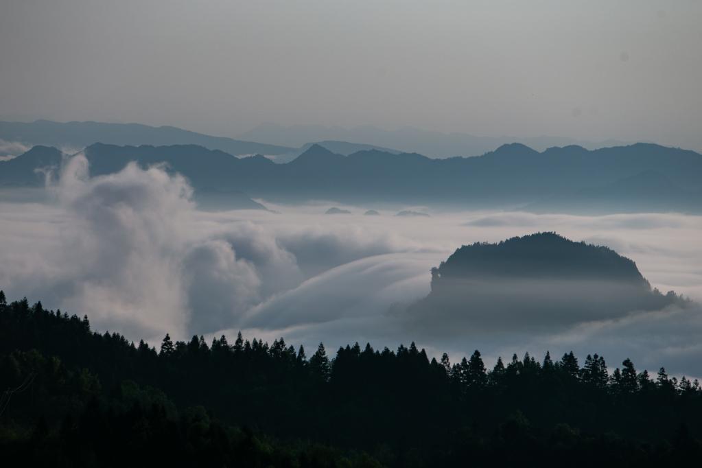 重庆金佛山：云绕山峦春色美