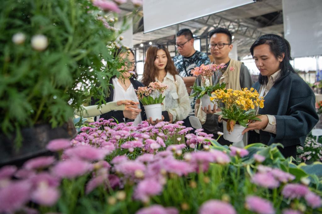 重庆大足：花卉产业为乡村振兴添香增色