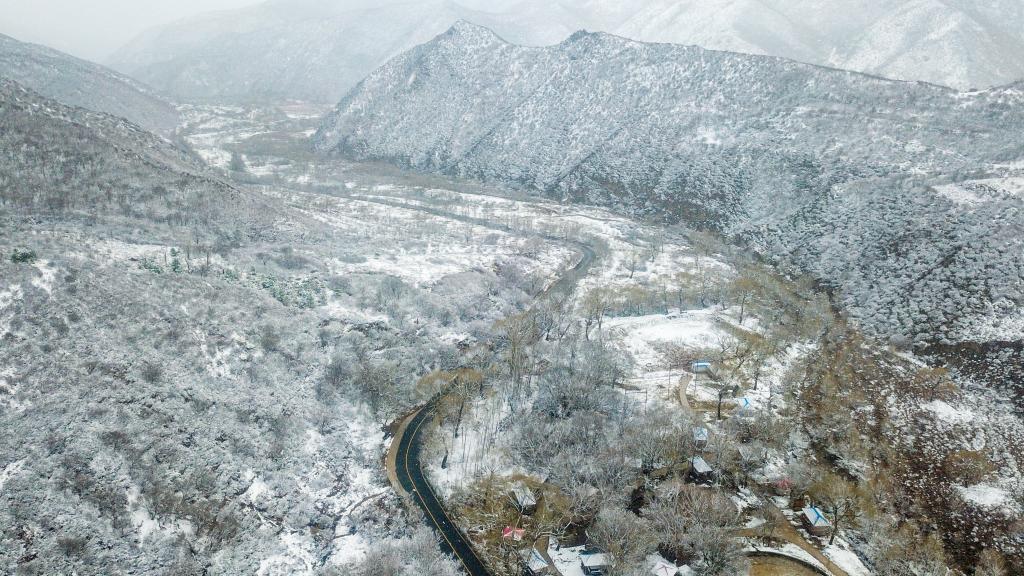 阴山春雪