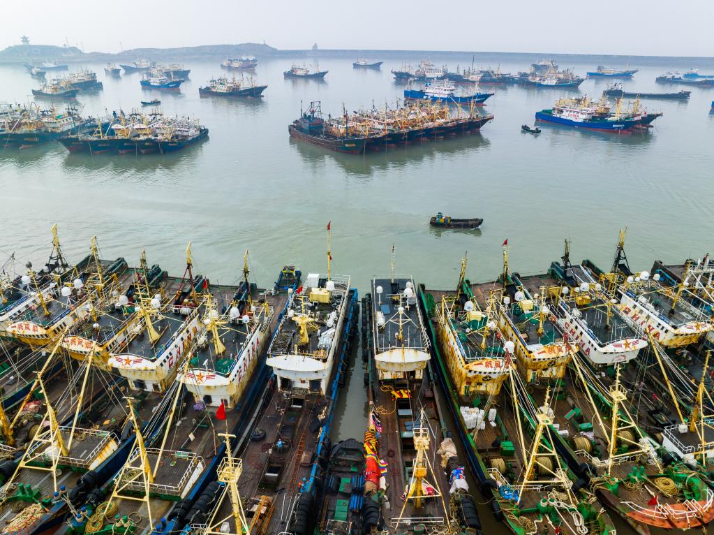 浙江温岭：千帆进港迎休渔