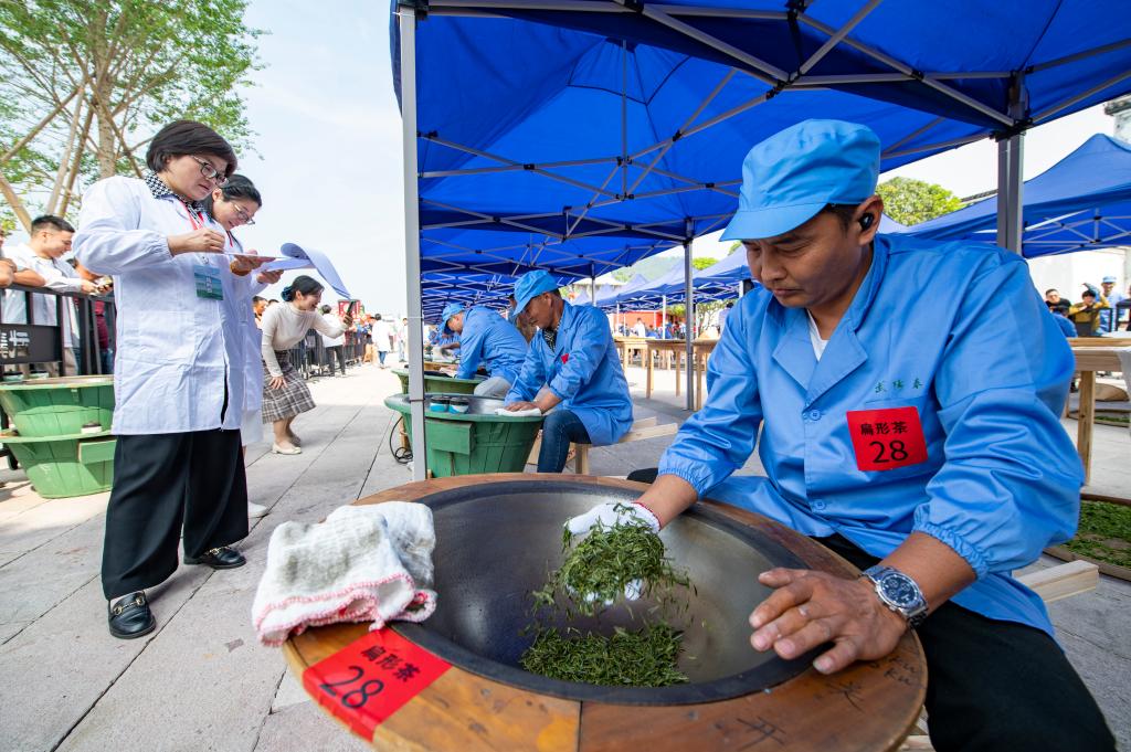 浙江金华：茶叶加工技能比高低